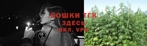 эйфоретик Губаха