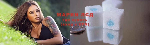 таблы Грязовец