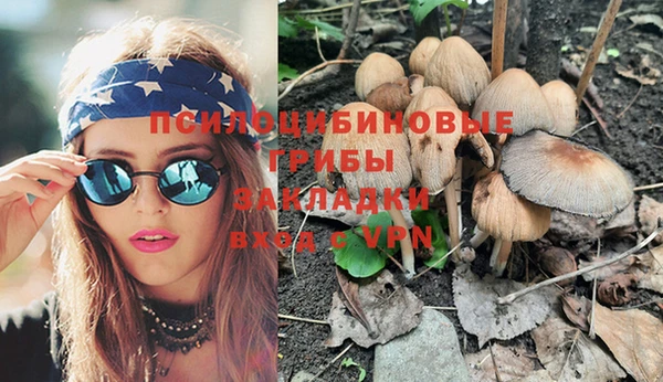 таблы Данков